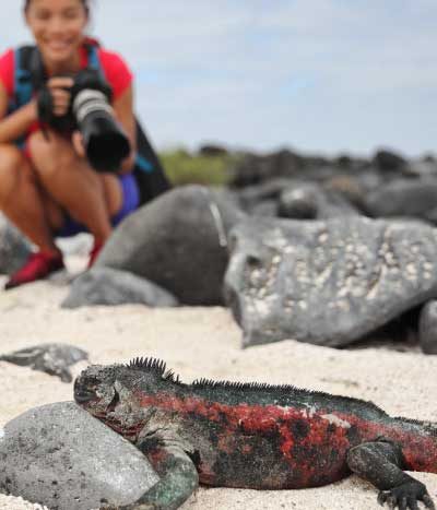 04-galapagos